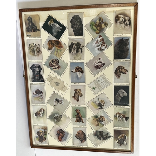 250 - DE RESZKE FRAMED CIGARETTE CARDS POSTER. 33 x 27ins. Wooden frame. Stylish lay out of 30 dog pictori... 