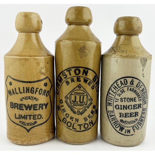 130 - GINGER BEER TRIO. Tallest 7.5ins. Inc. WALLINGFORD, BARROW IN FURNESS & BOLTON. Rear p.m. Chips & ha... 