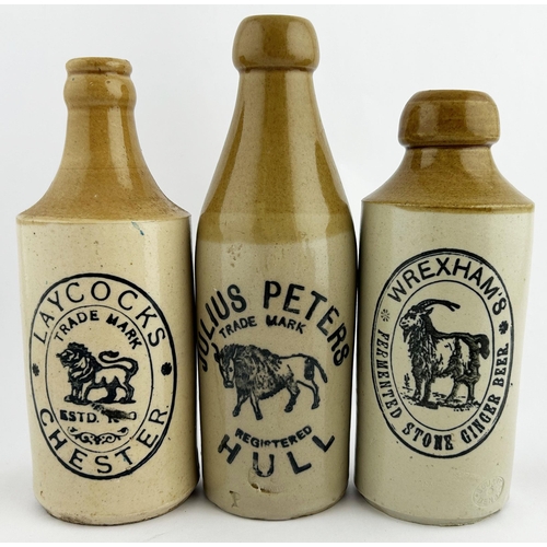 275 - PICTORIAL GINGER BEER TRIO. Tallest 7.75ins. Inc. HULL, WREXHAM & CHESTER. All with animal pics to c... 