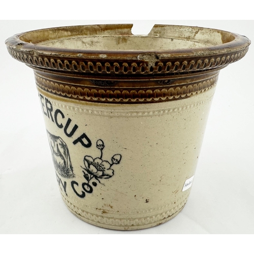 464 - BUTTERCUP DAIRY CO BUTTER CROCK. 5.4ins tall. T.t., wheel decorated top, rear Caledonion p.m. Strong... 