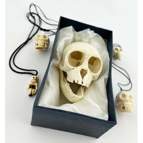 52 - SKULL GROUP. Largest 3.25ins. Inc. Small bone skull, necklaces/ charms. (5)