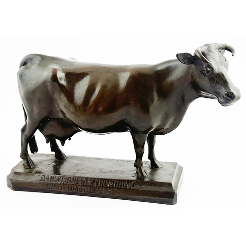 66 - BRONZE CASTE FIGURE DAIRY COW. 7.7ins tall. Very fine sculpted bronze model of a Dairy Shorthorn Cow... 