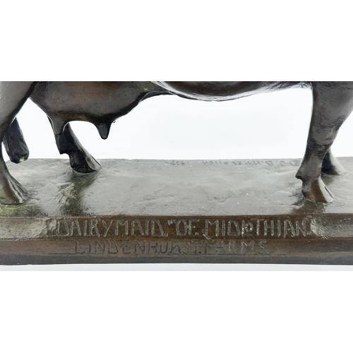66 - BRONZE CASTE FIGURE DAIRY COW. 7.7ins tall. Very fine sculpted bronze model of a Dairy Shorthorn Cow... 