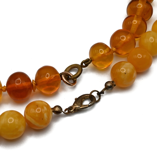 36 - A row of clear amber beads and two other amber style bead necklaces.