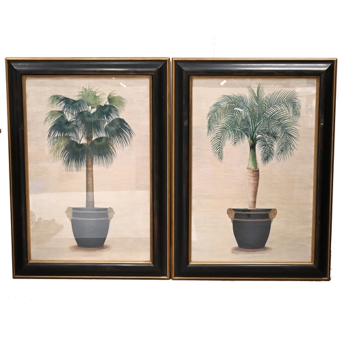 450 - Two large decorative prints of Palms in Ornate Urns, in part gilded moulded wood frames, glazed (a p... 