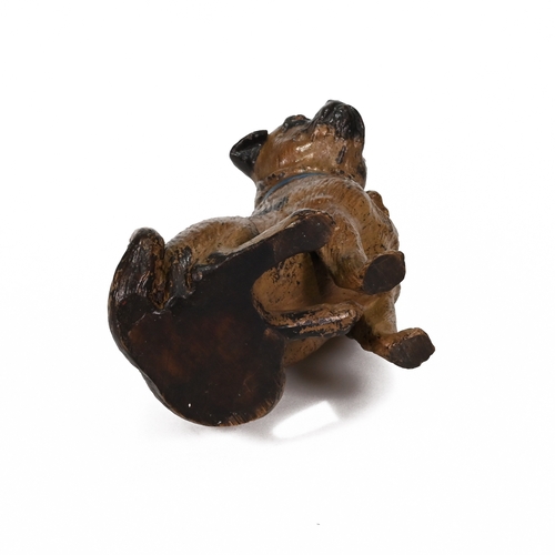 472 - A 20th century Austrian cold painted bronze model of a standing pug dog, the back stamped Berg fro F... 