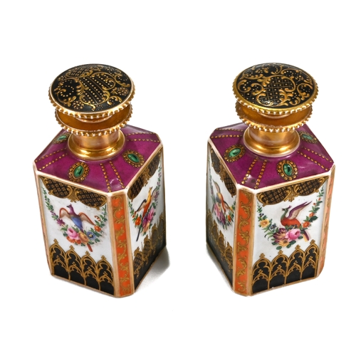 536 - A pair of 19th Century Sèvres tea caddies complete with stoppers, richly illustrated with birds of p... 