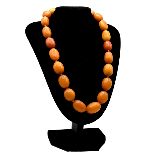 55 - A row of oval honey amber beads to a clasp stamped ‘14k 585’, 47.5cm long, 52 grams gross.