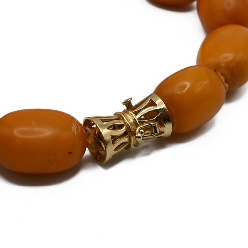 55 - A row of oval honey amber beads to a clasp stamped ‘14k 585’, 47.5cm long, 52 grams gross.