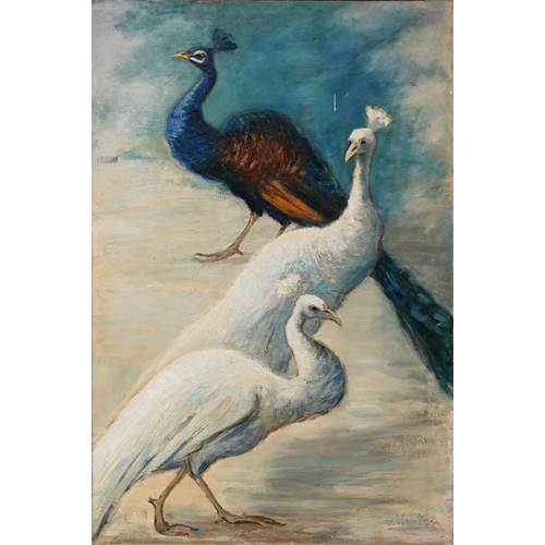 598 - Georges van Houten (1888–1964) - Peacocks. Oil on canvas, 129cm x 79.5cm, signed ‘v. Houten’ lower r... 