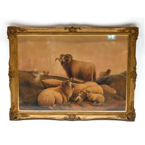 634 - Frederick E. Valter (1850-1930) - Highland Sheep. Watercolour and gouache on paper, sight 41.7cm by ... 