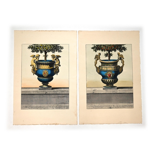 645 - After Claude Ballin (1615-1678) - Bronze Urns with Citrus Trees. Reproductive prints after Jean le P... 