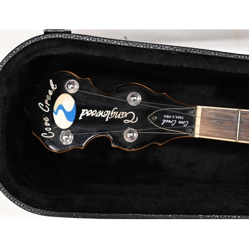 739 - A Tangelwood Cove Creek TBDLX - PRO Tanglewood Tenor Banjo, cased.