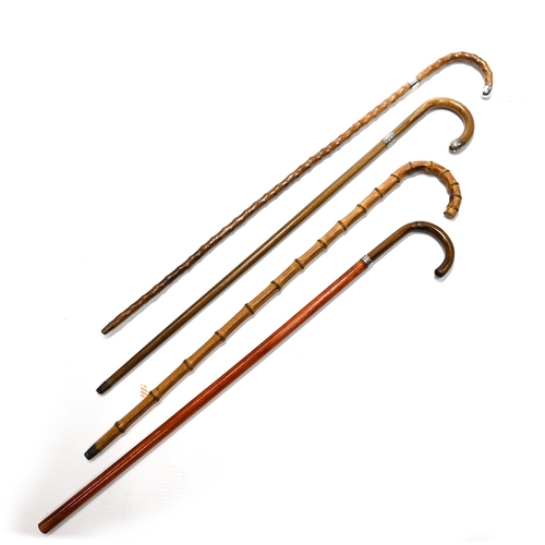 816 - Four walking canes to include: a hooked cane with silver collar and tip hallmarked for London 1919 m... 