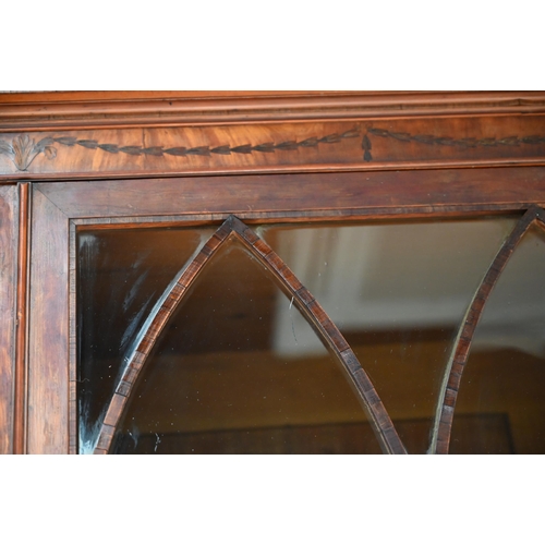 905 - Regency Satinwood bookcase in the manner of Gillows. Upper glazed doors with adjustable shelves with... 