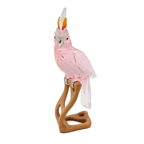 284 - A Swarovski Paradise Birds Cockatoo figurine, Kakadu red crystal body with rhodium feet on a wooden ... 