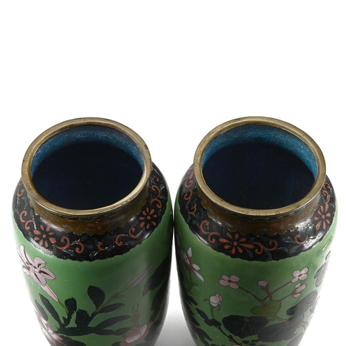 573 - A pair of Japanese Cloisonné vases with green ground with kingfishers, peonies and lilies. H 31.5cm,... 