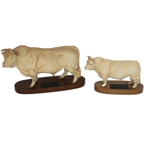 103 - Beswick - two Charolais bulls - on wooden plinths. The first a larger model (height 19.5cm including... 