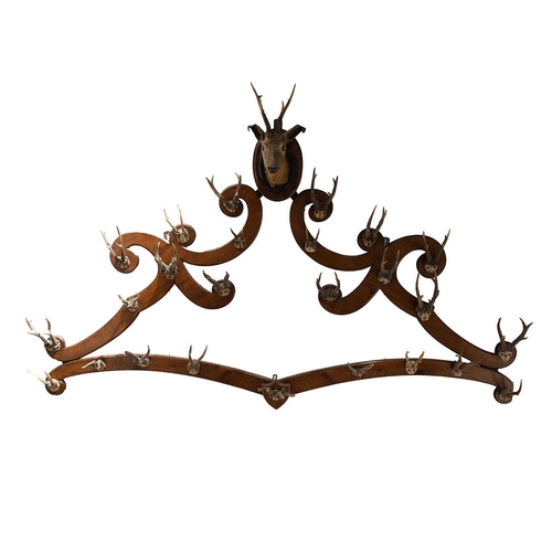 407 - Extra large country house antler coat / hat rack. Shaped walnut frame with 25 pairs of antlers and c... 