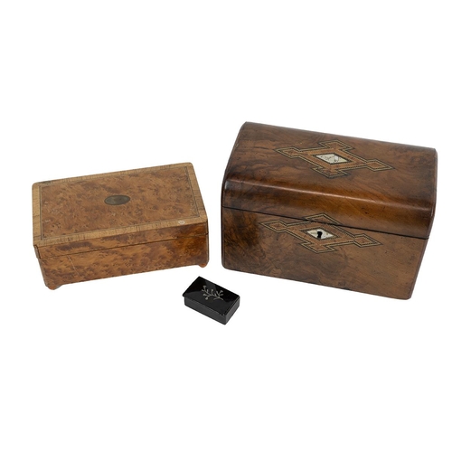 339 - Late 19th Century domed top tea caddy of walnut inlaid with mother of pearl and Tunbridgeware style ... 