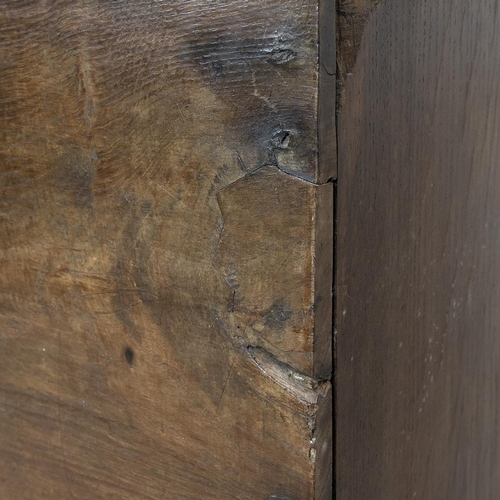 439 - Early 19th Century Oak and Elm Mule Chest the hinged top opening to reveal candle box, two drawers w... 