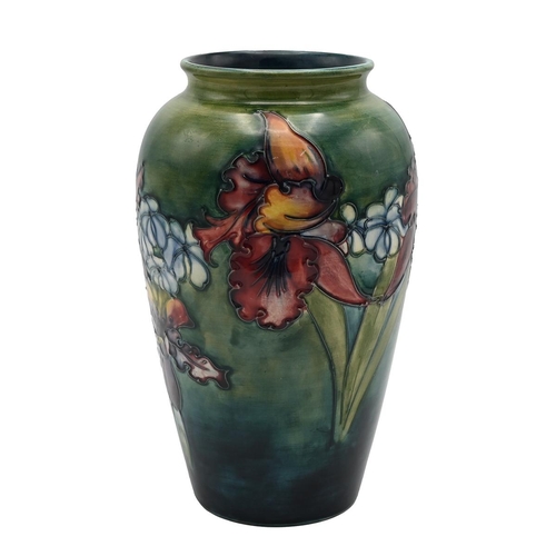 181 - William Moorcroft, circa 1940/50, baluster form vase with tube lined orchid pattern in reds, yellows... 