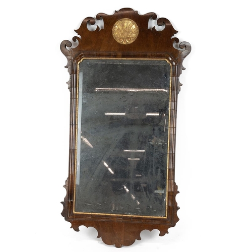 375 - Early 19th Century Rosewood Swansea mirror frame (no glass), gilt edging and gilt shell decoration. ... 