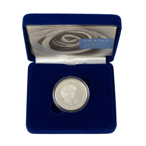 81 - Premium Royal Mint silver proof coin and sets. Including a 25th anniversary of the £1 coin silver pr... 