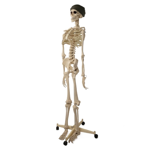 441 - A classroom 3/4 sized medical skeleton on stand with quatrefoil base with casters, H166cm.