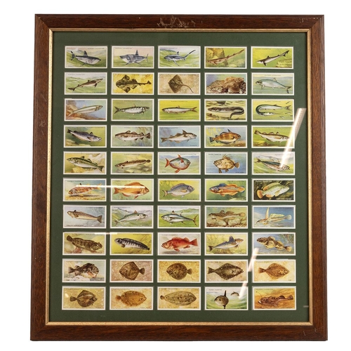 449 - Collection of cigarette and tea cards, including three framed sets, various boxed examples.