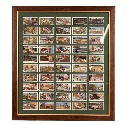 449 - Collection of cigarette and tea cards, including three framed sets, various boxed examples.