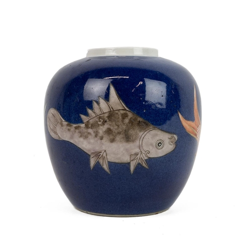 163 - CHINESE GINGER JAR 19TH CENTURY.Decorated with four hand painted koi carp on a cobalt blue glaze gro... 