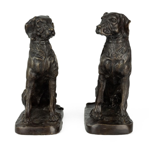 46 - Pair of 20th century bronze models of seated hounds, standing on rectangular bases, 22cm high.