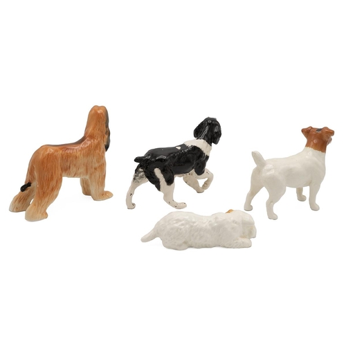 193 - Four Beswick porcelain dog figurines - Jack Russsell, Afghan, Springer Spaniel and Fox Terrier - tal... 