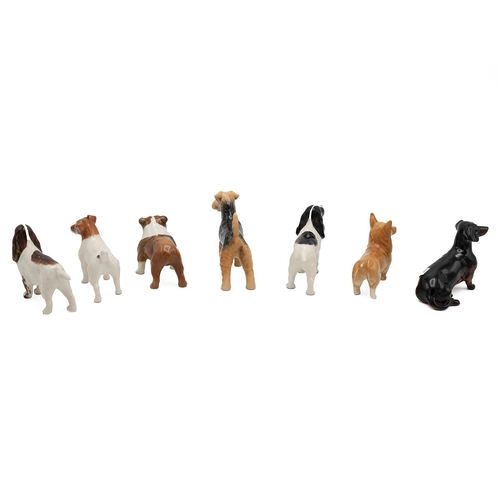 197 - Beswick porcelain dog figurines to include: corgi, dachsund, bulldog, jack russell, Airedale terrier... 