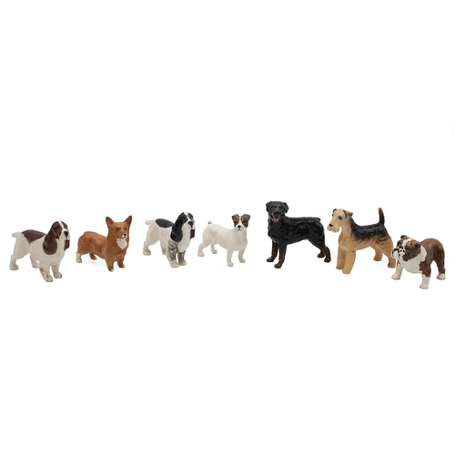 205 - Beswick porcelain figurines of dogs to include a corgi, bulldog, two cocker spaniels, Airedale terri... 