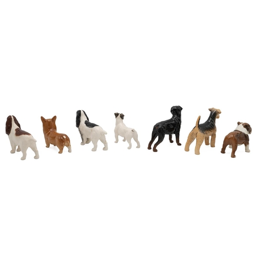 205 - Beswick porcelain figurines of dogs to include a corgi, bulldog, two cocker spaniels, Airedale terri... 