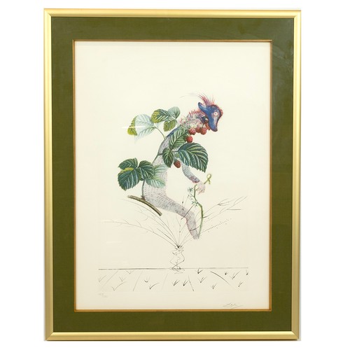 299 - Salvador Dali (1904-1989, Spanish), after, 'Le Framboisier' signed limited edition (169/200) lithogr... 