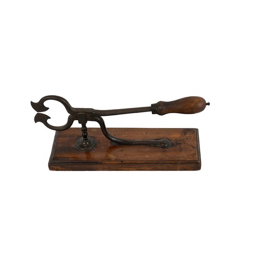 51 - Georgian sugar nips/cutter, wrought iron with walnut handle and base, L 35cm, W 11, H 15cm; also an ... 