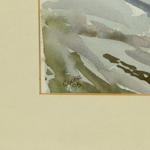 219 - David Cooke - water colour winter landscape scene signed lower left and dated 1995,  67cm x 47cm.