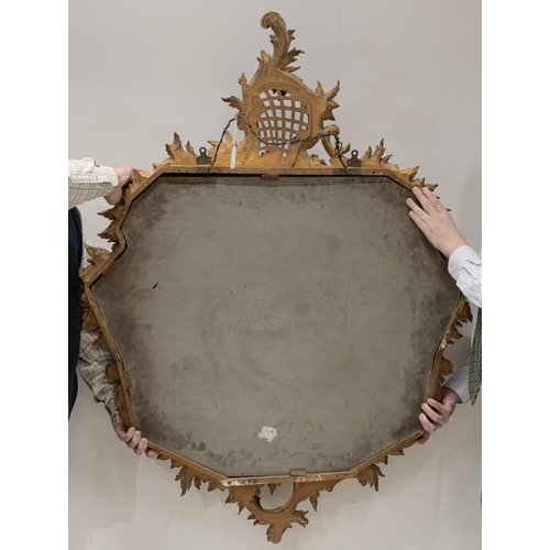 545 - 19th century French gilt wood and plaster framed Acanthus wall mirror. Decorated with Acanthus leave... 