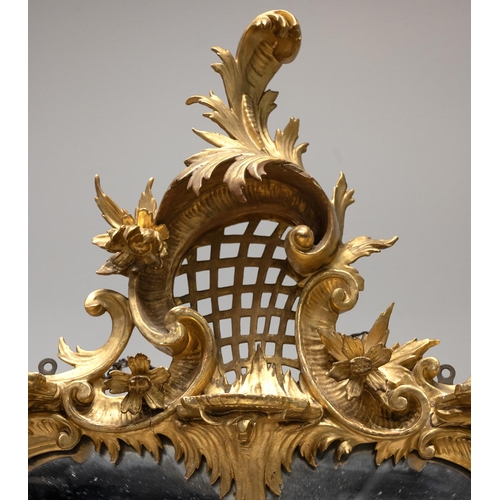 545 - 19th century French gilt wood and plaster framed Acanthus wall mirror. Decorated with Acanthus leave... 