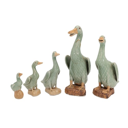 84 - A graduated set of five Chinese ceramic ducks in a celadon glaze with impressed marks to base. Talle... 