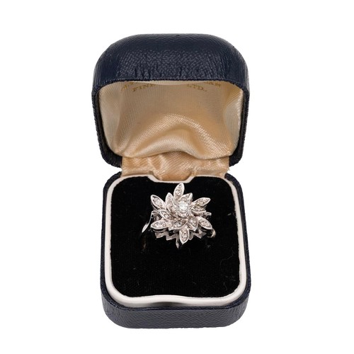 131 - A 14ct white gold and diamond cluster ring in an open setting, in the form of a flower head, the cen... 