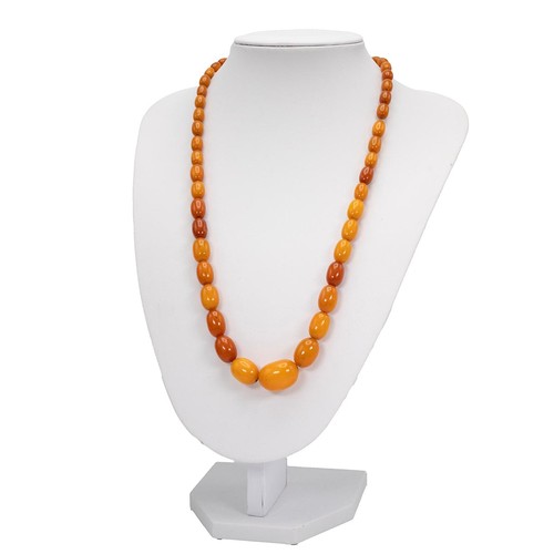 165 - An amber bead necklace of fifty two graduating beads drop 29cm, weight 28.2 grams.