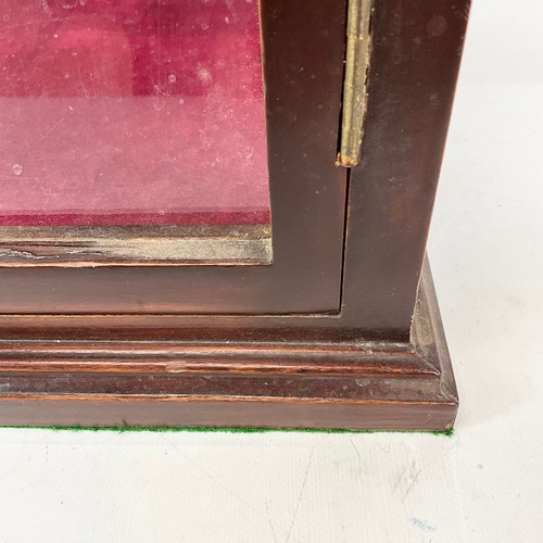 906 - An Edwardian stained table top single door glazed display cabinet H58cm x W35.5cm x D32cm.