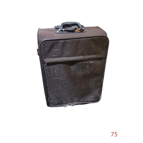 75 - Luggage 
22 x 38 x 55cm