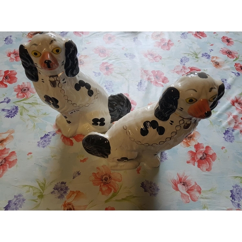 410 - A really good pair of Staffordshire Dogs.