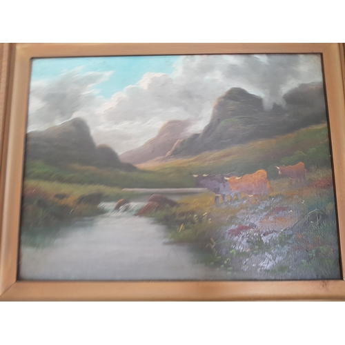 533 - A pair of 19th Century Scottish Oils on Canvas of Highland Cattle.