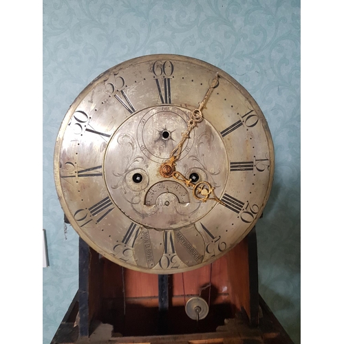 574 - A superb Early 19th Century Brass dial Long Case Clock by John D Rowe of Maryborough of Portlaoise i... 